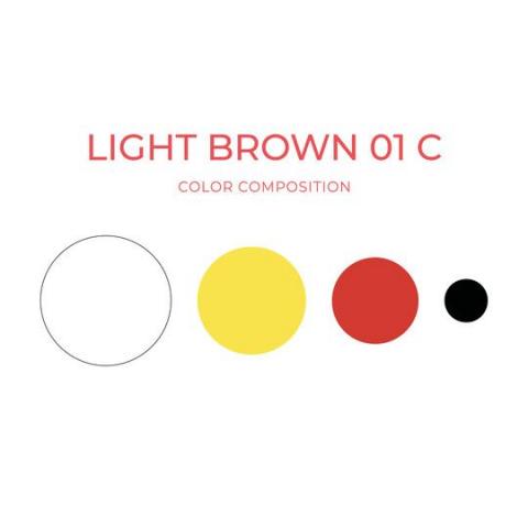 ARTYST Farbzusammensetzung LightBrown01C